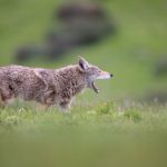 初恋时间免费观看全集高清 6m33dzonh